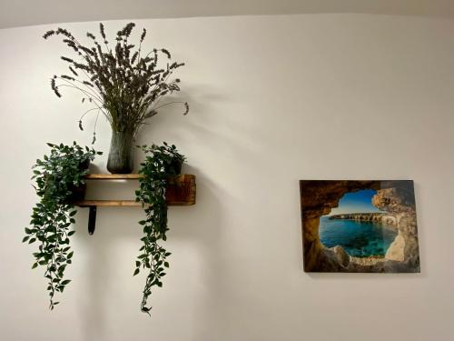a picture on a wall with a plant on a shelf at Secret Paradise & SPA Rooftop in Quartu SantʼElena