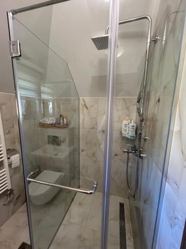 um chuveiro com uma porta de vidro na casa de banho em The Only Logde em Zlatibor