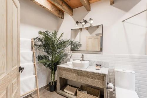 a bathroom with a sink and a mirror at Casa Pandurata Luxury Apartments in Centro, San Miguel de Allende in San Miguel de Allende