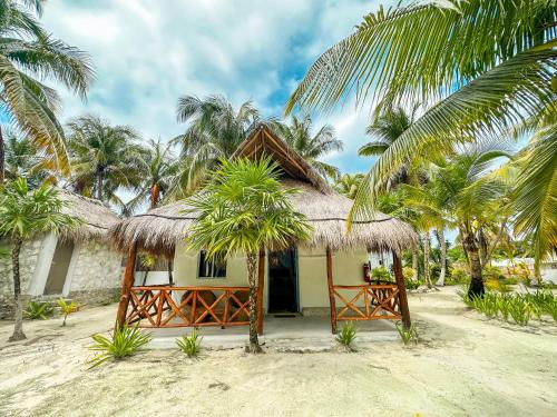 una pequeña casa en la playa con palmeras en Alito Tulum Hotel en Tulum
