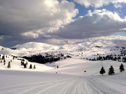 a snow covered slope with trees and snow covered mountains at Apartmani Porodica Karalić Vlašić in Vlasic