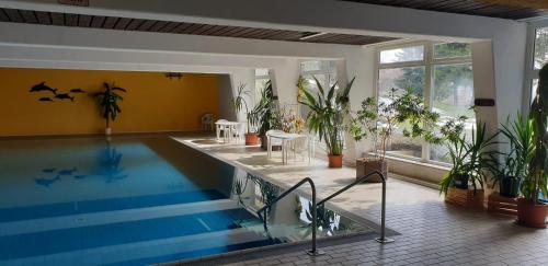 a swimming pool with plants and a swimming pool at Apartament Berghof in Bayerischen Wald in Sankt Englmar