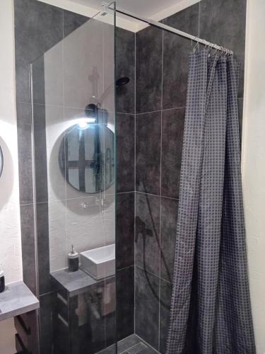 a bathroom with a shower with a sink and a mirror at Daugavas apartamenti in Ogre