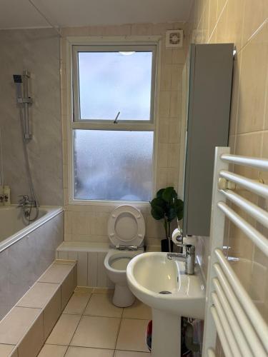 a bathroom with a toilet and a sink and a window at Beautiful Studio Apartment No4 Forest Road in London