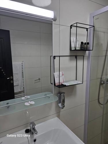 La salle de bains est pourvue d'un lavabo et d'un miroir. dans l'établissement Străjerii Cetății, à Tîrgu Neamţ