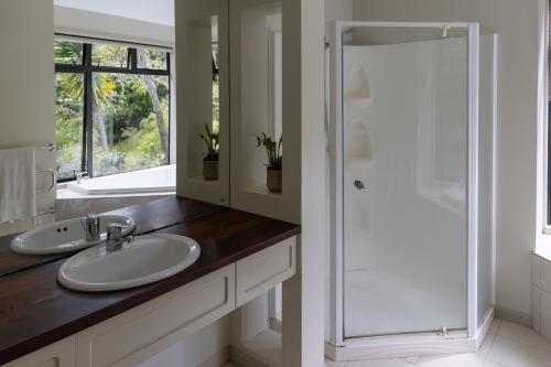 a bathroom with a sink and a shower at TAIRUA SLICE OF PARADISE! in Tairua