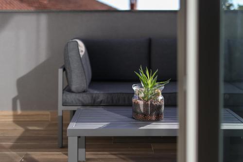 a potted plant sitting on a table next to a couch at SPA Studio Apartment SPApartman in Rijeka