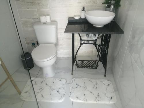 uma casa de banho com um WC branco e um lavatório. em Apartamento T1 Retiro dos Sonhos em Fontes da Matosa