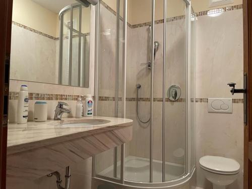 La salle de bains est pourvue d'une douche, d'un lavabo et de toilettes. dans l'établissement Wasserfallweg 17, à Bad Kleinkirchheim