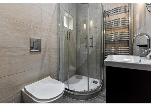 a bathroom with a shower and a toilet and a sink at Charming 1BR Oasis in the Heart of Clapton Common in London