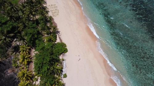 an overhead view of a beach with palm trees and the ocean at Manu Getaway Guesthouse in Namara