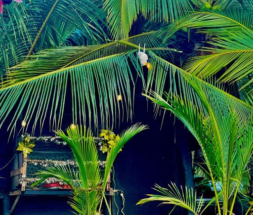 a group of palm trees in front of a wall at Beachfront Paradise in Manuel Antonio