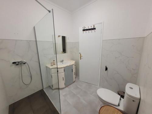 a bathroom with a shower and a toilet and a sink at Azores village apartments in Fontinhas