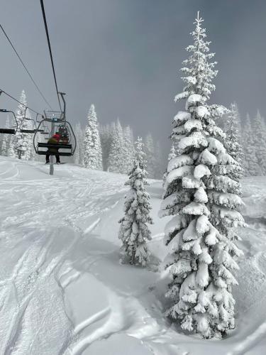 a snow covered christmas tree on a ski lift at Summit Lofts Boutique Hotel in Mount Shasta