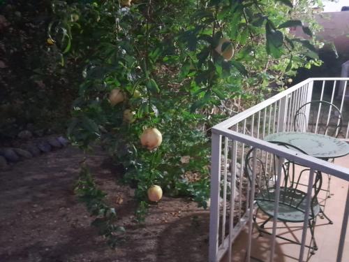 a table and a chair next to a fruit tree at Musgrave AnneX- comfy 1 bedroom apartment on the ground floor in Kingston