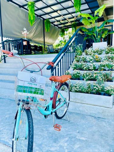 a bike with a basket parked next to some plants at Farm View Resort @Uthai Thani ฟาร์มวิว รีสอร์ท อุทัยธานี in Nong Khayang