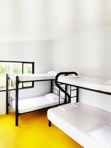 a room with three bunk beds and a window at Amalaya Hostel in Restrepo