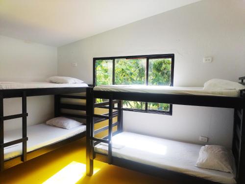 Amalaya Hostel في ريستريبو: غرفة بها ثلاثة أسرة بطابقين ونافذة