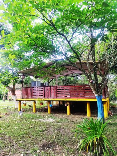 a gazebo in a park with a dog under it at Amalaya Hostel in Restrepo