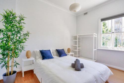 a white bedroom with a large bed with blue pillows at 3 Bedroom House Chippendale Near the Center 2 E-Bikes Included in Sydney
