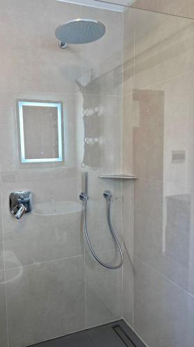 a bathroom with a shower with a glass door at Pozza Appartamenti in Carano