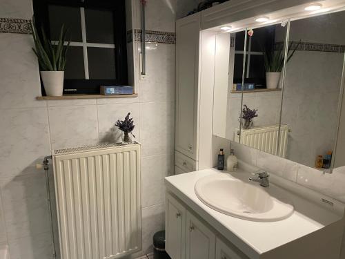 a white bathroom with a sink and a mirror at Relax in Kasterlee