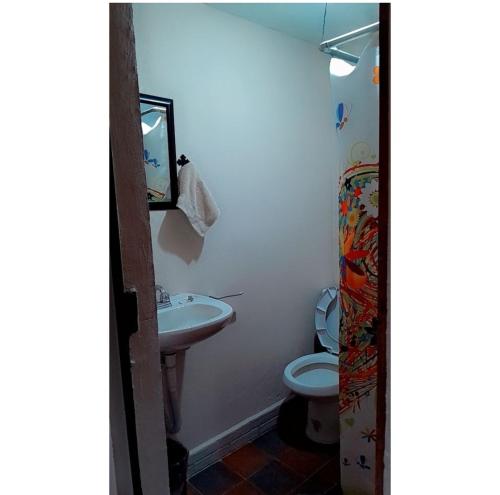 瓦薩德奧坎波的住宿－Posada Angel，一间带水槽和卫生间的浴室