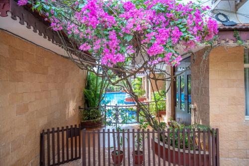 a bunch of pink flowers hanging over a fence at Ronne's Candy Floss Blue Lagoon villa in Guirim