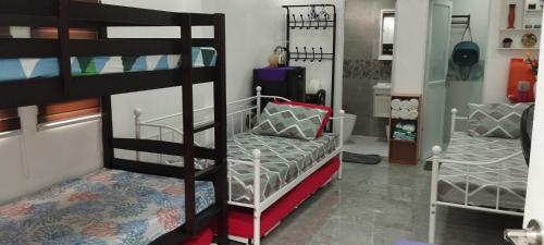 Pokój z 2 łóżkami piętrowymi i kanapą w obiekcie Evexia Garden w mieście Santa Rosa