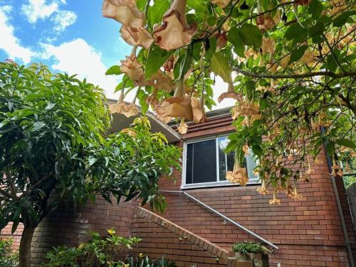 a cat sitting in a window of a brick house at 3 BDR house close to train station, airport & City in Sydney