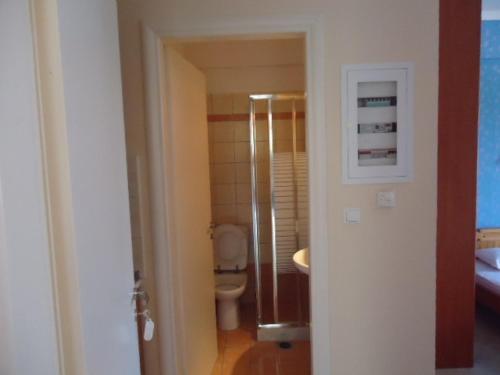 La salle de bains est pourvue de toilettes, d'une douche et d'un lavabo. dans l'établissement Almini2 Apartments, à Plataria