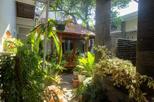 Zahrada ubytování RedDoorz Syariah near Pascasarjana UGM 3