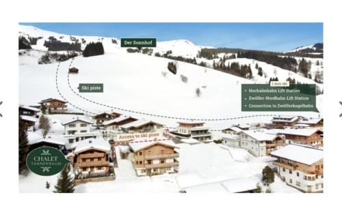 a map of a ski resort in the snow at Chalet Tannenbaum in Saalbach Hinterglemm