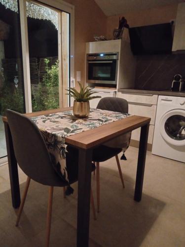 Una cocina con una mesa con una planta encima. en Le Patio du bourg - Studio entre lac et océan, en Biscarrosse