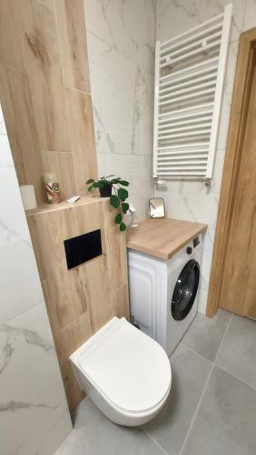 a bathroom with a toilet and a washing machine at Apartament Temisto in Bydgoszcz