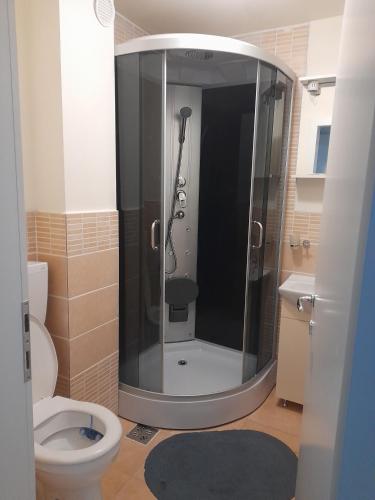 a bathroom with a shower with a toilet at Dallas Apartaments 33 in Vulcan