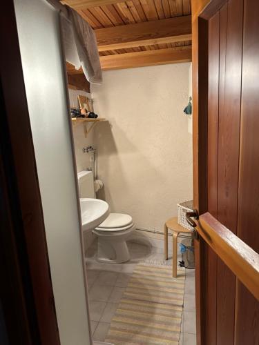 łazienka z toaletą i umywalką w obiekcie Casa Vacanze Roncaiola w mieście Tirano