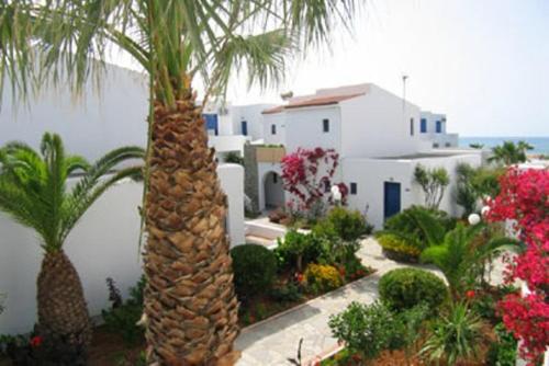 a palm tree in front of a white building at Marina Sands in Agia Marina Nea Kydonias