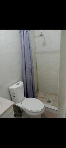 ein Bad mit einem WC und einer Dusche in der Unterkunft Apartamento Puente del zorro in Ciudad Juárez