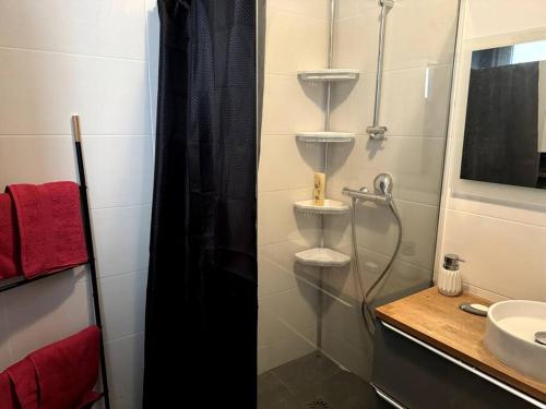 une salle de bain avec une douche avec des toilettes et un lavabo dans l'établissement Charmant appartement de 3 pièces, Colmar, à Colmar