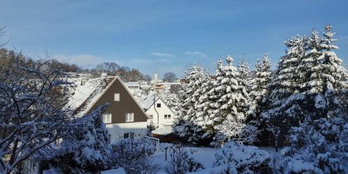 un groupe d'arbres recouverts de neige avec des maisons dans l'établissement Ferienwohnung Prinz, à Meinerzhagen