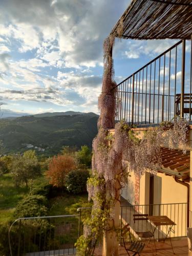 a house with a balcony with a bunch of vines at Agriturismo La Fontaccia in Rufina