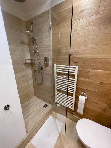 a bathroom with a shower with a toilet and a sink at Holec Apartments in Prague