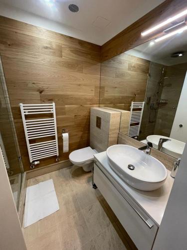 a bathroom with a sink and a toilet at Holec Apartments in Prague