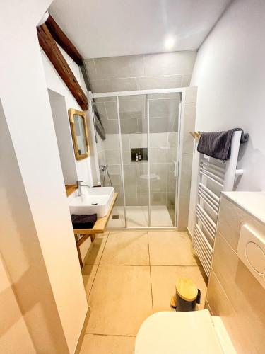 uma casa de banho com um chuveiro, um WC e um lavatório. em Chambre Rose des Vents em Eguisheim