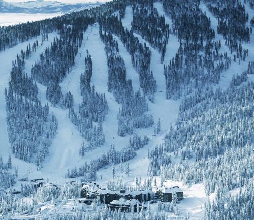a mountain covered in snow with houses and trees at The Ritz-Carlton, Lake Tahoe in Truckee
