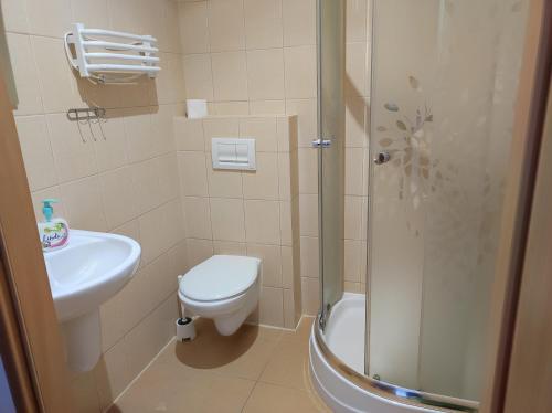 a bathroom with a toilet and a sink and a shower at Górski Kryształ in Stronie Śląskie