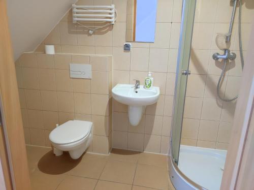 a bathroom with a toilet and a sink and a shower at Górski Kryształ in Stronie Śląskie