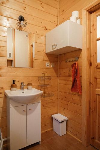 a bathroom with a sink and a mirror at Leśna 21 Dom Północ przy PUSZCZA BIAŁOWIESKA in Łuka