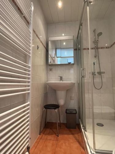 a bathroom with a sink and a shower and a stool at Schorrebloem 31 in Nieuwvliet